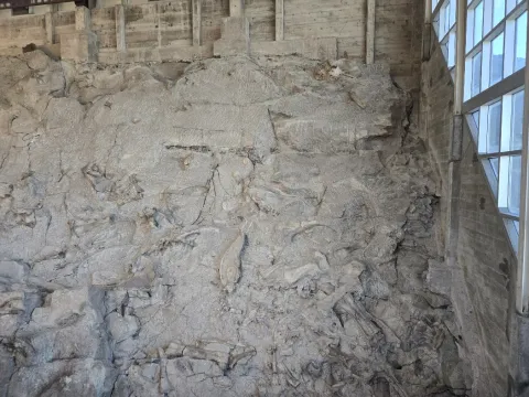 The Dinosaur National Monument Quarry Exhibit Hall