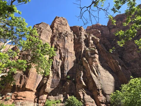 Zion National Park