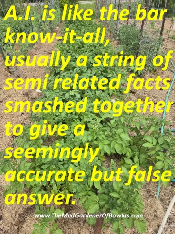 A.I. is like the bar know-it-all, usually a string of semi related facts smashed together to give a seemingly accurate but false answer.
